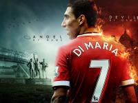 开云下载-狼群法则与绿茵争锋，从森林狼的压制力到德甲争冠的终极焦点