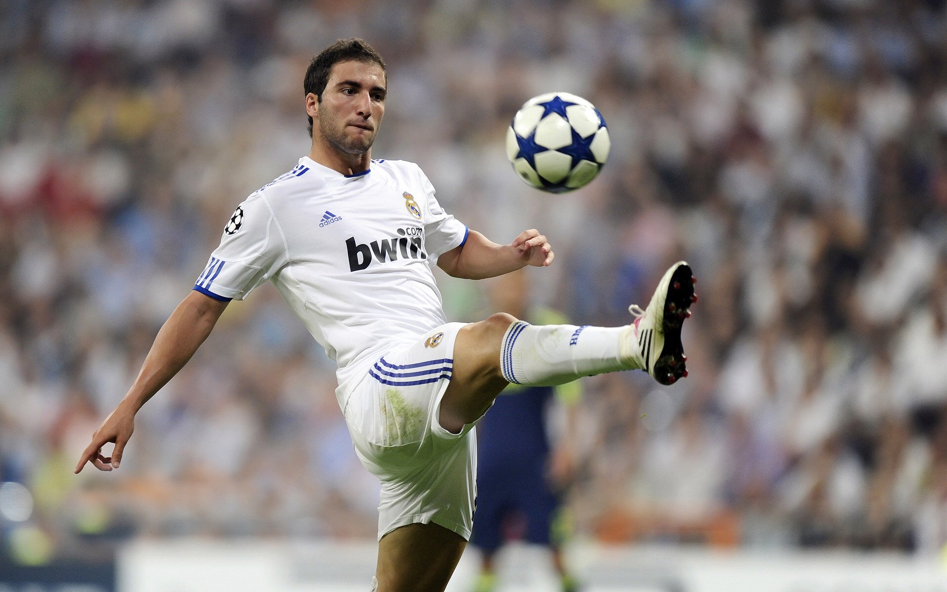 爱尔兰末节绝尘，F1年度争冠的安哥拉启示